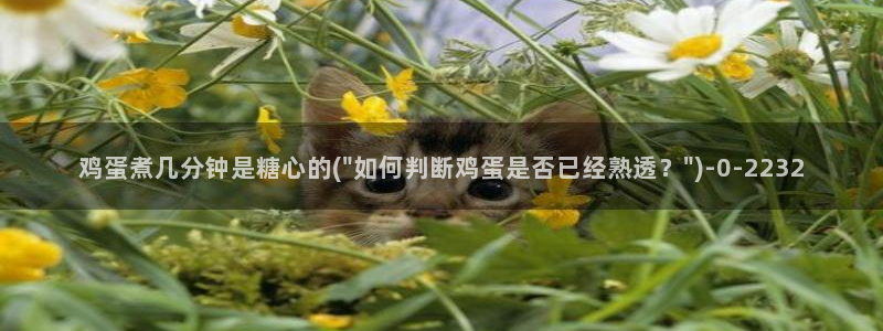 糖心vlgo苹果安装：鸡蛋煮几分钟是糖心的(\