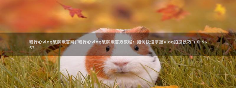 糖心免费.：糖行心vlog破解版官网(\