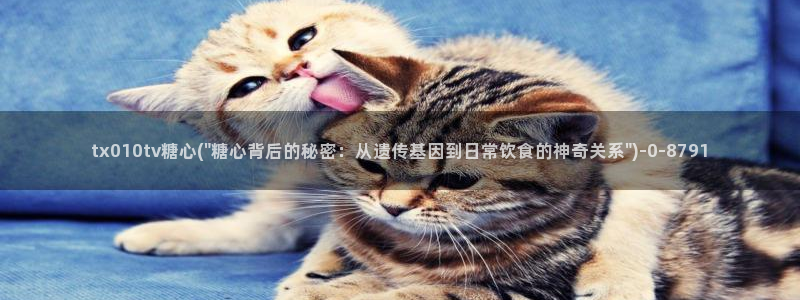 糖心免费.：tx010tv糖心(\
