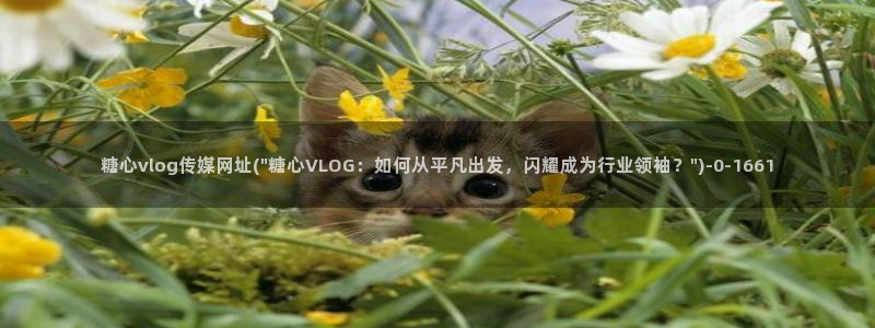 嘉心糖：糖心vlog传媒网址(\