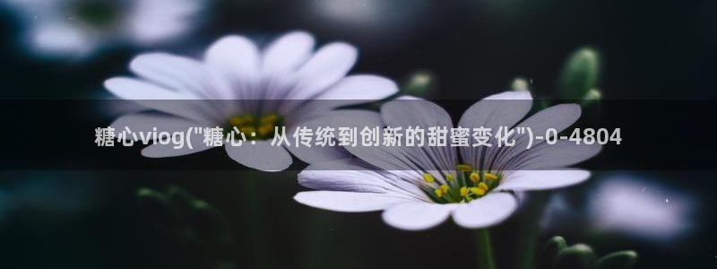 糖心vloug：糖心viog(\