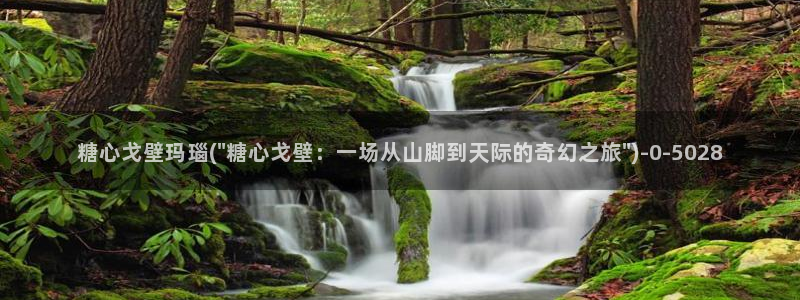 糖心资料